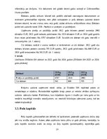 Practice Reports 'Grāmatvedības prakses atskaite', 19.