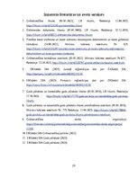 Practice Reports 'Grāmatvedības prakses atskaite', 29.