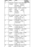 Practice Reports 'Grāmatvedības prakses atskaite', 32.
