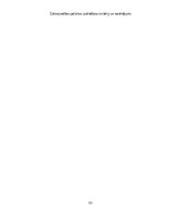 Practice Reports 'Grāmatvedības prakses atskaite', 33.