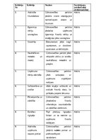 Practice Reports 'Grāmatvedības prakses atskaite', 34.