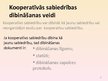 Presentations 'Valsts un pašvaldības kā juridiskas personas, un to institūcijas', 19.