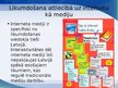 Presentations 'Informācijas atšķirība latviešu un krievu mediju telpā', 10.