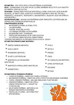 Summaries, Notes 'Būvniecības kontroldarba teorija', 11.