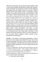 Research Papers 'Kriminālatbildība par svešas preču zīmes vai citas preču vai pakalpojumu citādas', 29.