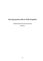 Research Papers 'Depresija jauniešu vidū', 29.