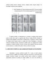 Research Papers 'Invazīvās karboksiterapijas pielietošanas efektivitāte ķermeņa estētisko problēm', 17.