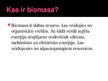 Presentations 'Biomasas', 3.