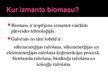 Presentations 'Biomasas', 4.