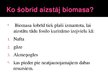 Presentations 'Biomasas', 5.