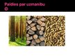 Presentations 'Biomasas', 14.