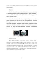 Research Papers 'Videonovērošanas kameras, sistēmas, to izmantošana', 17.