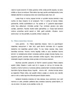 Research Papers 'Baroka stila interjers un mēbeles', 5.