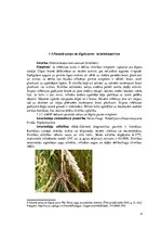 Research Papers 'Vasaras miežu augu aizsardzības sistēma', 4.
