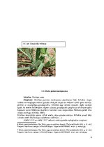 Research Papers 'Vasaras miežu augu aizsardzības sistēma', 6.