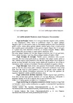 Research Papers 'Vasaras miežu augu aizsardzības sistēma', 9.