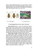 Research Papers 'Vasaras miežu augu aizsardzības sistēma', 10.