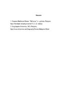 Research Papers 'Eleonora H. Portere ‘’Pollianna’’', 6.