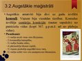 Presentations 'Senās Romas valsts pārvalde republikas un impērijas laikā', 6.