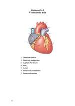 Research Papers 'Koronārās sirds slimības un to riska faktori', 31.