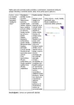 Summaries, Notes 'Matemātikas mācību jomas darbu apkopojums', 6.