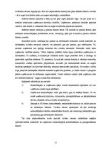 Term Papers 'Profesionāla atlases un novērtēšanas problēmas un risinājumu kā konkurētspējas f', 12.