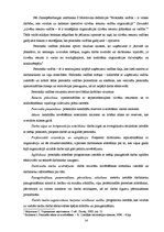 Term Papers 'Profesionāla atlases un novērtēšanas problēmas un risinājumu kā konkurētspējas f', 14.