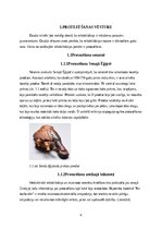 Research Papers 'Roku protēzes', 5.