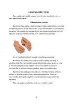 Research Papers 'Roku protēzes', 10.