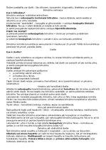 Presentations 'Dzelte', 16.