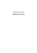 Research Papers 'Monopola tirgus modelis', 1.