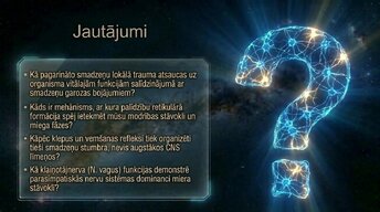 Presentations 'Nervu sistēmas arhitektūra un smadzeņu stumbrs', 15.