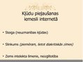 Presentations 'Pareizrakstības kļūdas interneta vietnēs', 13.