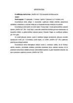 Term Papers 'Анализ финансовой деятельности предприятия SIA "MedPro Inc"', 2.