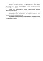 Term Papers 'Анализ финансовой деятельности предприятия SIA "MedPro Inc"', 18.