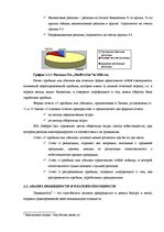 Term Papers 'Анализ финансовой деятельности предприятия SIA "MedPro Inc"', 21.