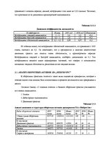 Term Papers 'Анализ финансовой деятельности предприятия SIA "MedPro Inc"', 25.