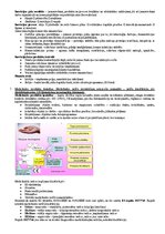 Samples 'Medicīniskās tehnikas projektēšana', 5.