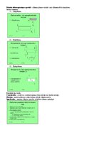 Samples 'Medicīniskās tehnikas projektēšana', 31.