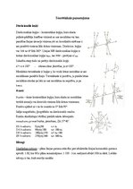 Summaries, Notes 'Teodolīta gājiens. Koordinātu un platības aprēķins', 2.