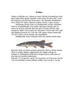 Research Papers 'Desmit izplatītākās zivju sugas Latvijā', 6.