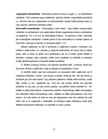 Research Papers 'Komunikācijas process SIA "X"', 14.