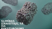 Presentations 'Infekcijas slimības: Mēris (Yersinia pestis)', 2.