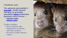Presentations 'Infekcijas slimības: Mēris (Yersinia pestis)', 5.