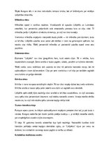 Summaries, Notes 'A. Pumpura eposa “Lāčplēsis” analīze', 5.