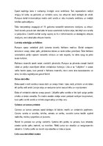 Summaries, Notes 'A. Pumpura eposa “Lāčplēsis” analīze', 6.