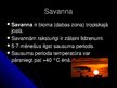Presentations 'Savanna', 2.