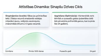 Presentations 'Sinaptiskā apgriešana: kāpēc smadzenes likvidē neizmantotos savienojumus', 4.