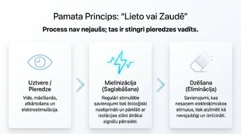 Presentations 'Sinaptiskā apgriešana: kāpēc smadzenes likvidē neizmantotos savienojumus', 5.