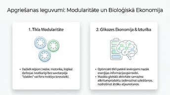 Presentations 'Sinaptiskā apgriešana: kāpēc smadzenes likvidē neizmantotos savienojumus', 8.